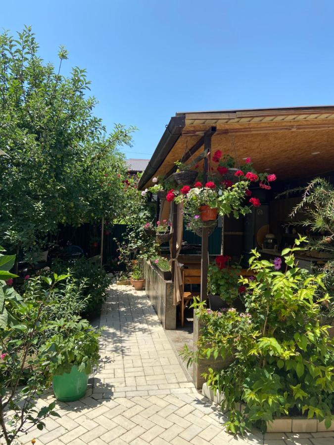 Уютный Дворик Sochumi Exterior foto