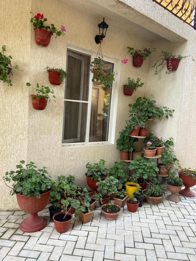 Уютный Дворик Sochumi Exterior foto